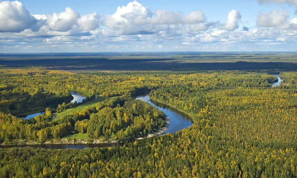 Западно-Сибирская равнина