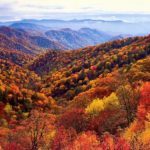 21 лучшее место, где можно увидеть осеннюю листву в США