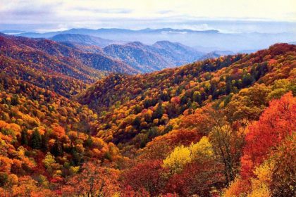 21 лучшее место, где можно увидеть осеннюю листву в США