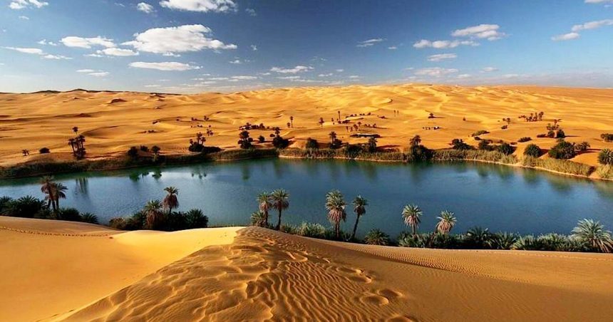 Пустыня Сахара_