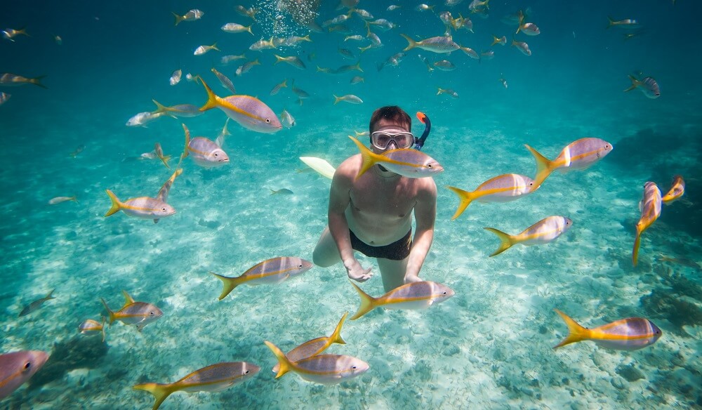 maldives-snorkeling (1) 1