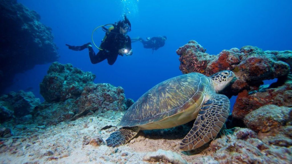 Maldives_Diving_Komandoo_3