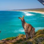 Преимущества поездки в Австралию со страховкой