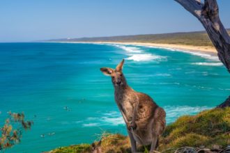 Преимущества поездки в Австралию со страховкой