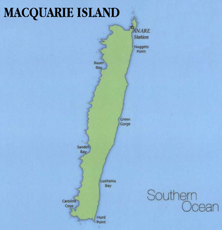 Остров Маккуори Острова Антарктики И Субантарктики
