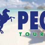 Пегас (PEGAS Touristik)
